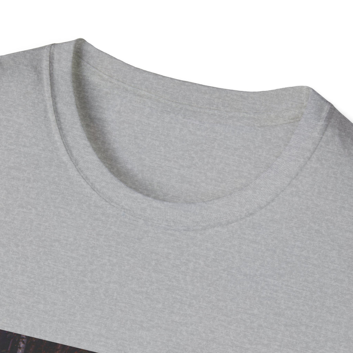 Capybara Shiba Inu Maine Coon T-Shirt — Retro Trio Graphic Tee